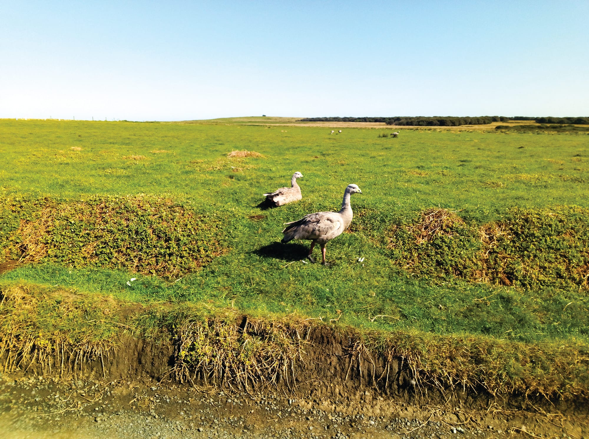 Silver lining to lockdown