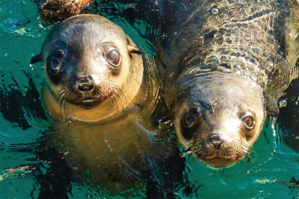 Nature Parks Board update