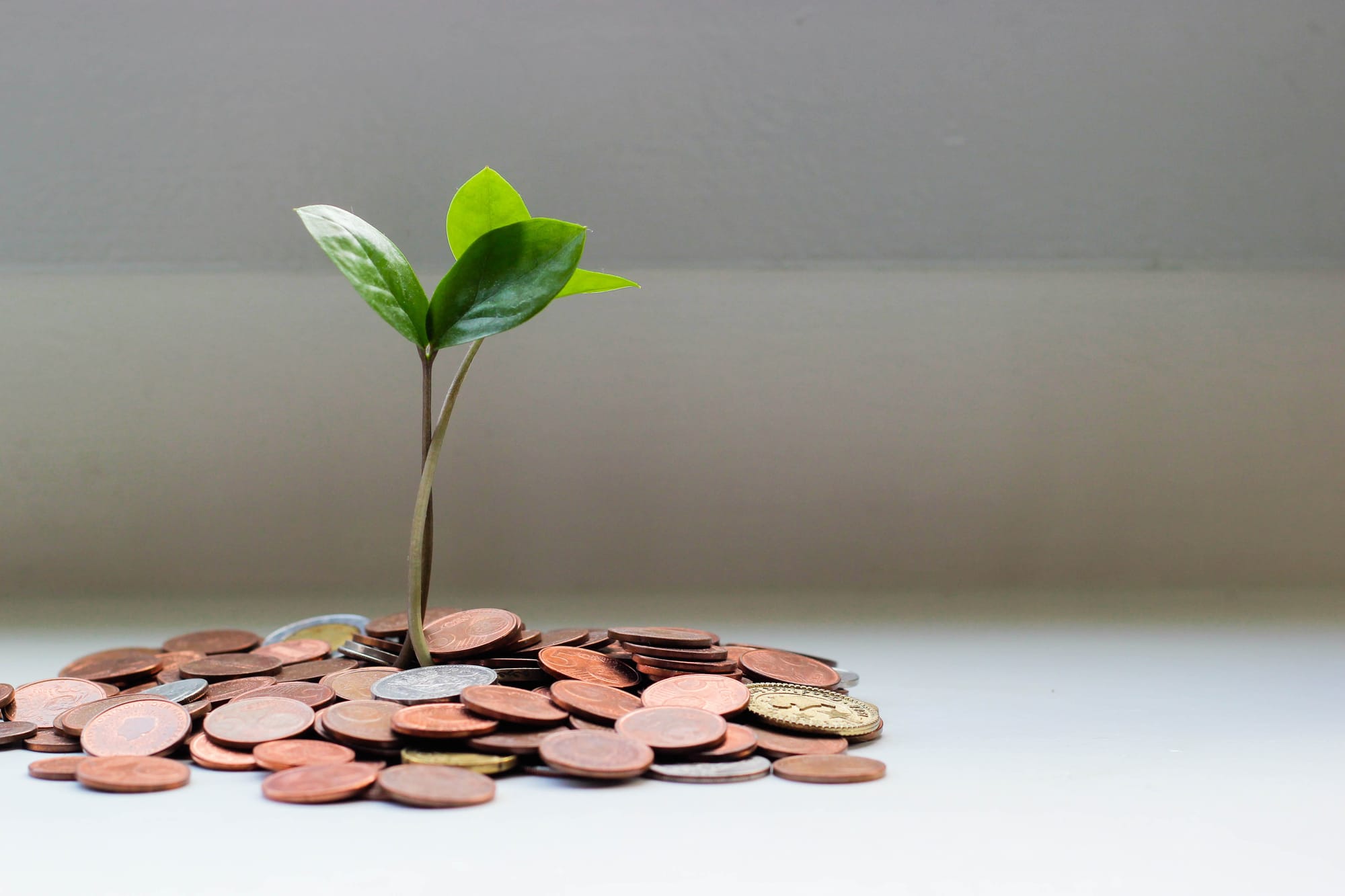 New funding to reduce energy use
