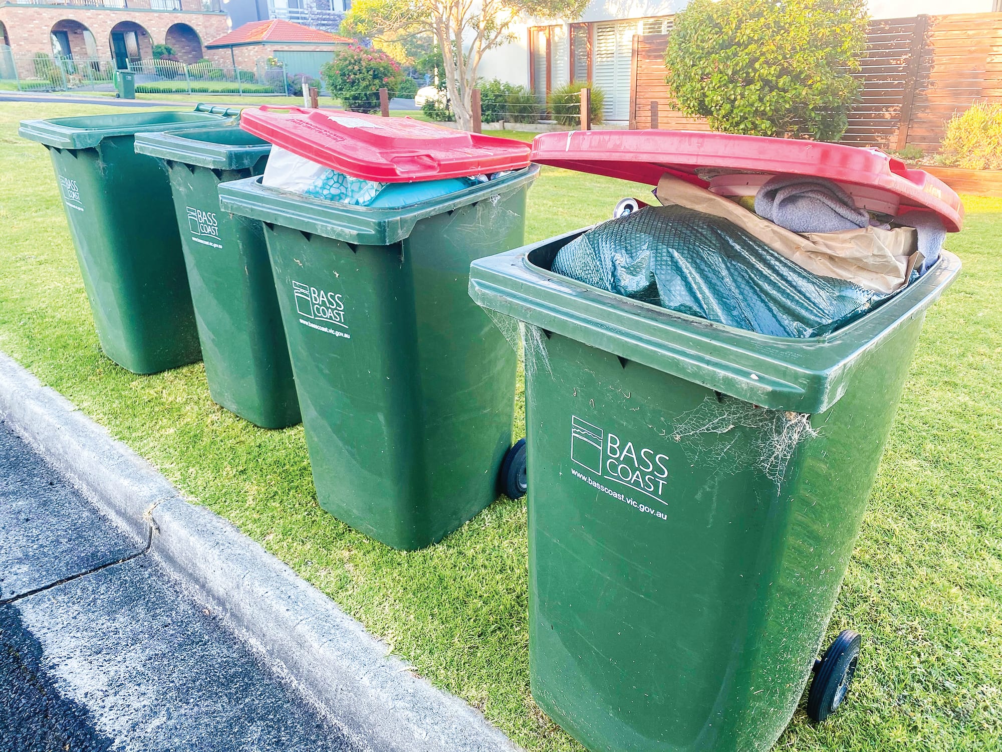 Red bins: still anger, but more acceptance