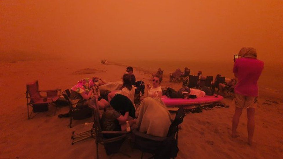 Bushfires: a local perspective