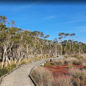 Rhyll Inlet & Conservation Walk