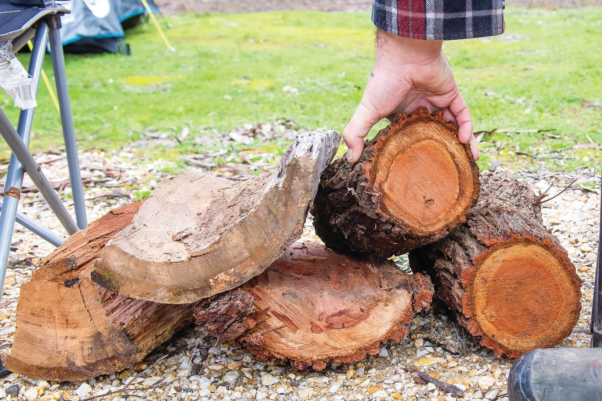 Spring firewood collection season opens in Gippsland