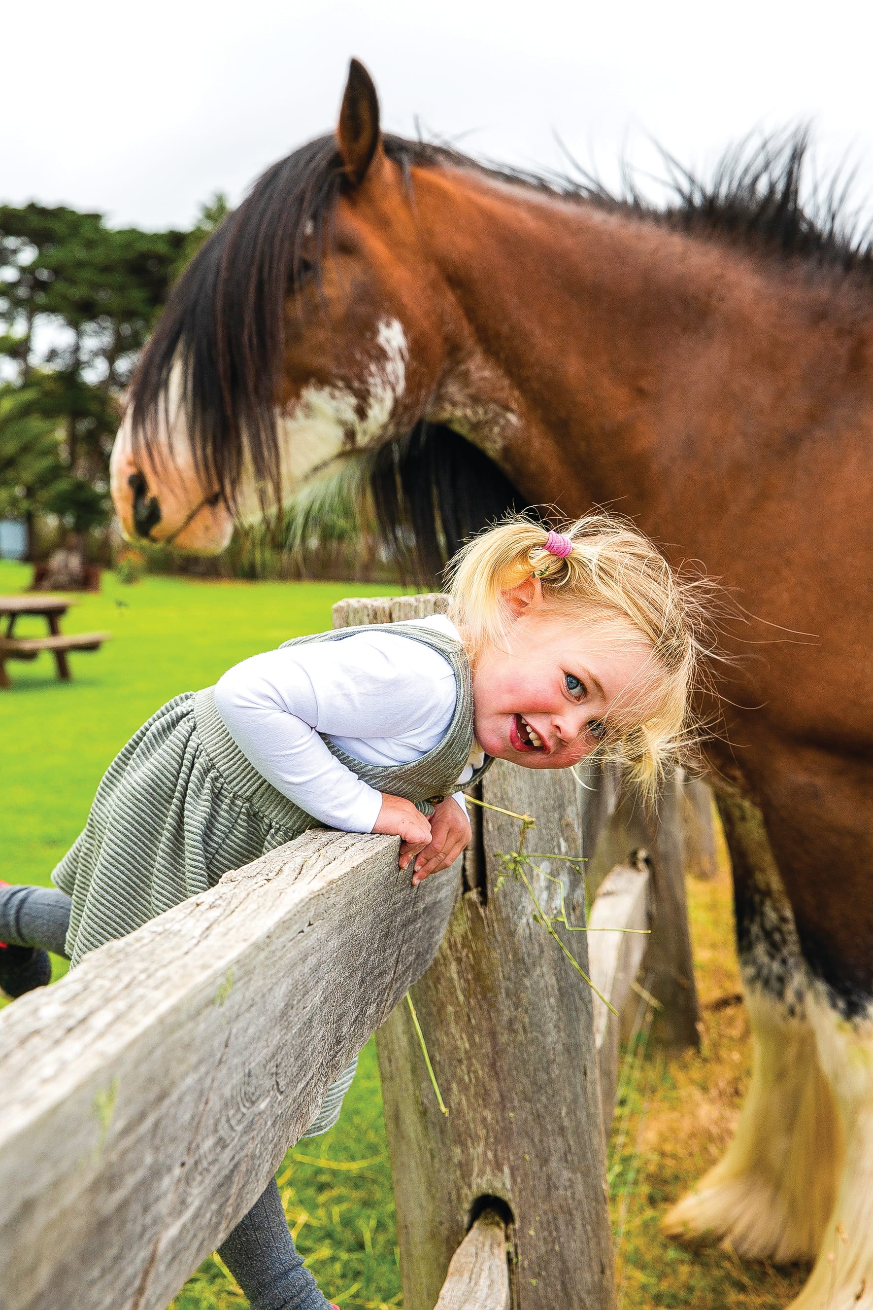 Nature Parks’ annual Community Open Day happening soon