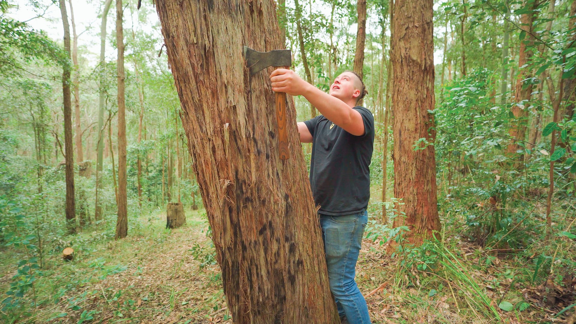 Creating a traditional Stringy Bark Canoe