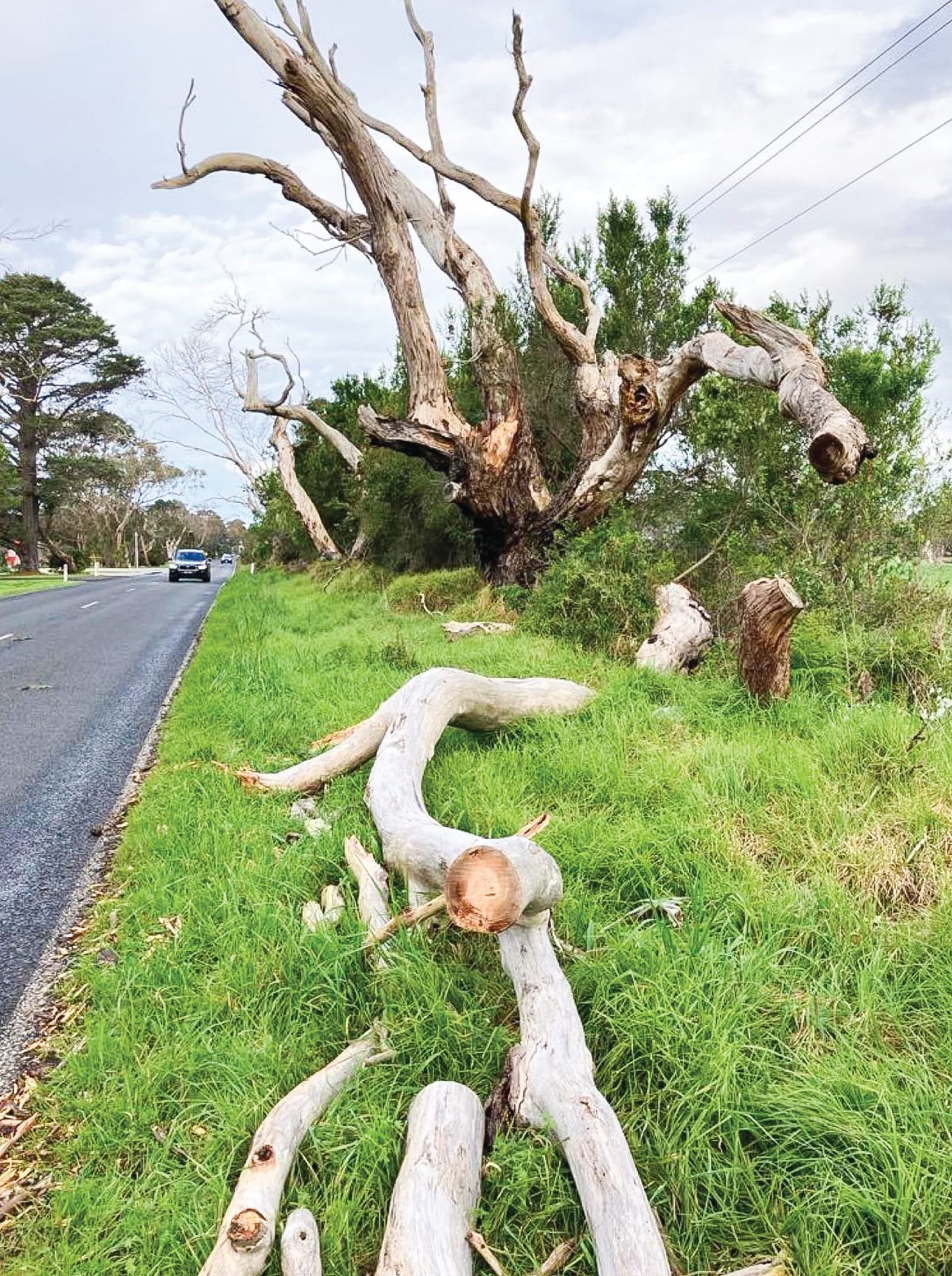 Ventnor Road inspections