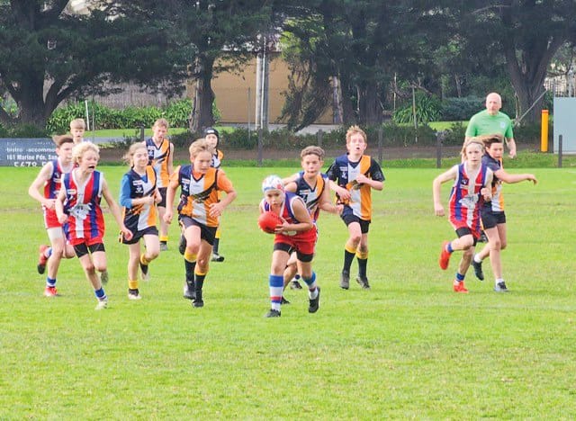 Big week on the field for junior Dogs - U12 Blue