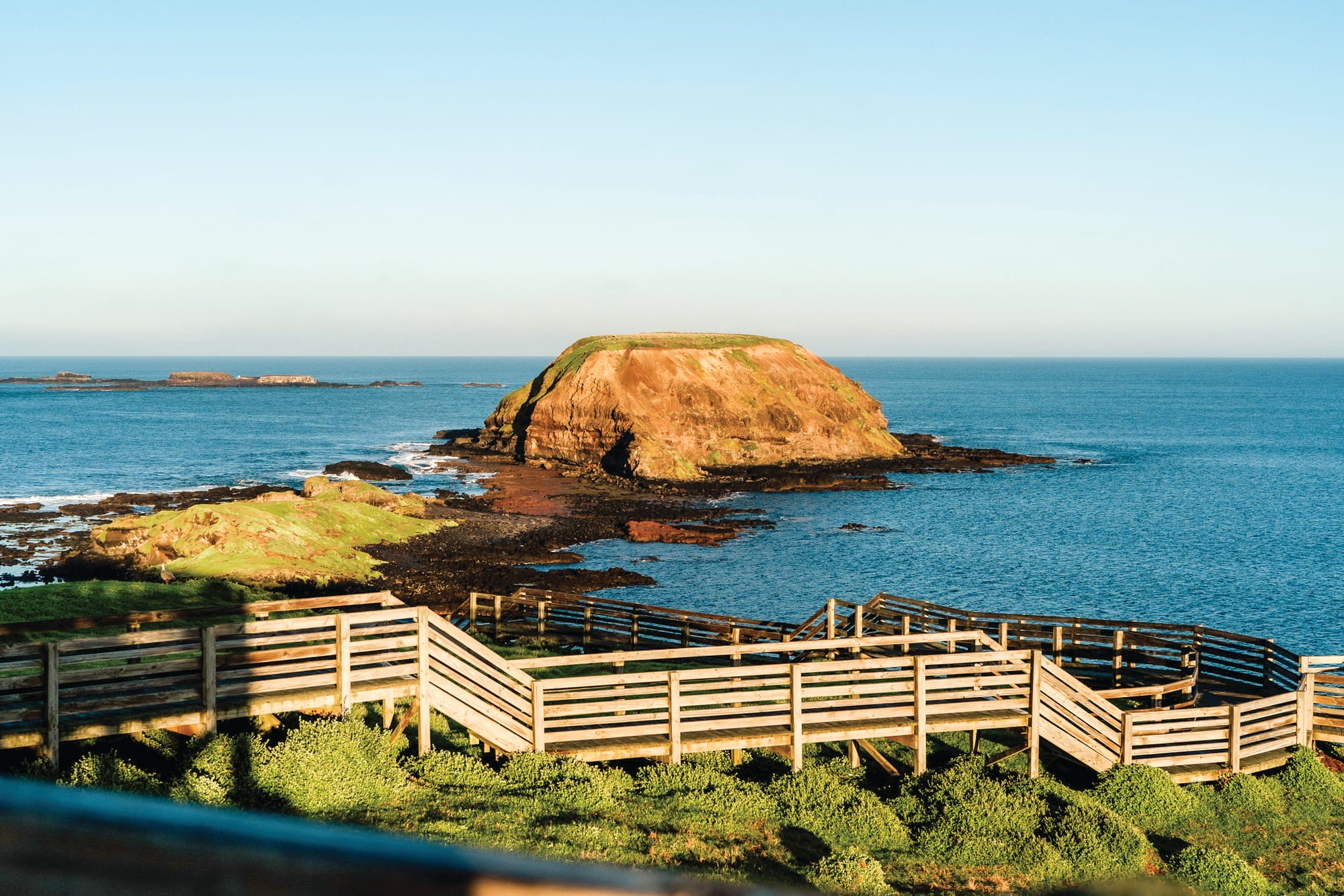 Nature Parks unofficially celebrates full recovery