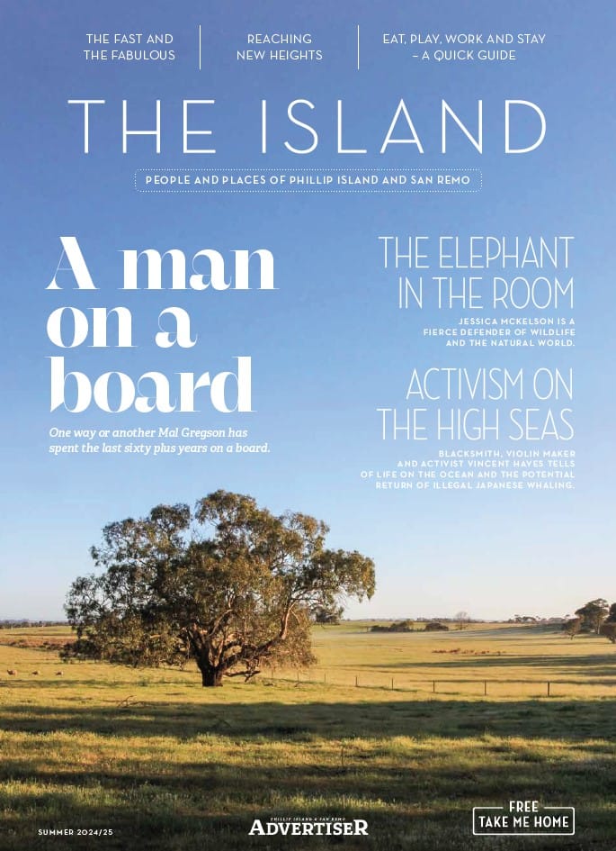 The Island - Summer 2024/25  post
                                image