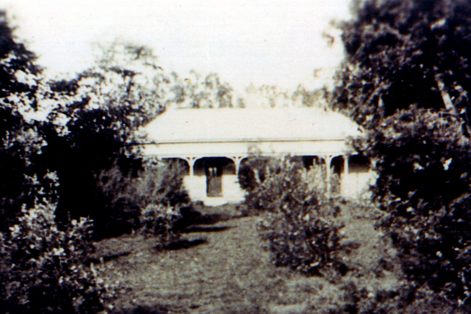 Charmandene