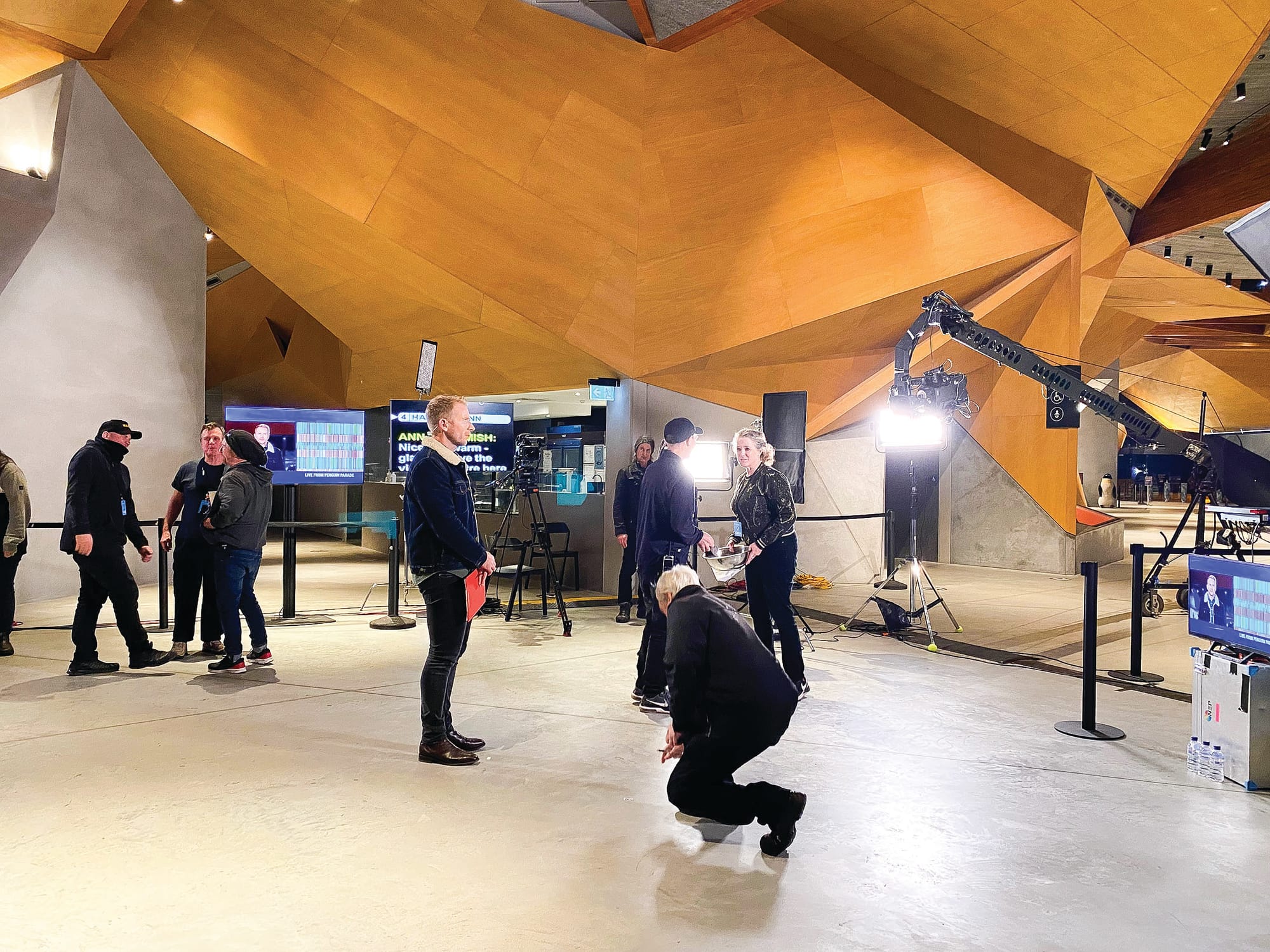 Lights, cameras and action from Penguin Parade