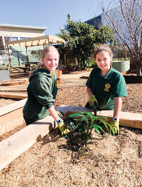 Keen to keep it green