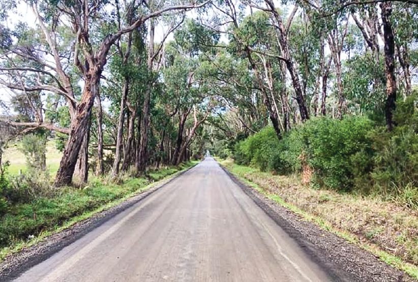 Road clearing request knocked back by council