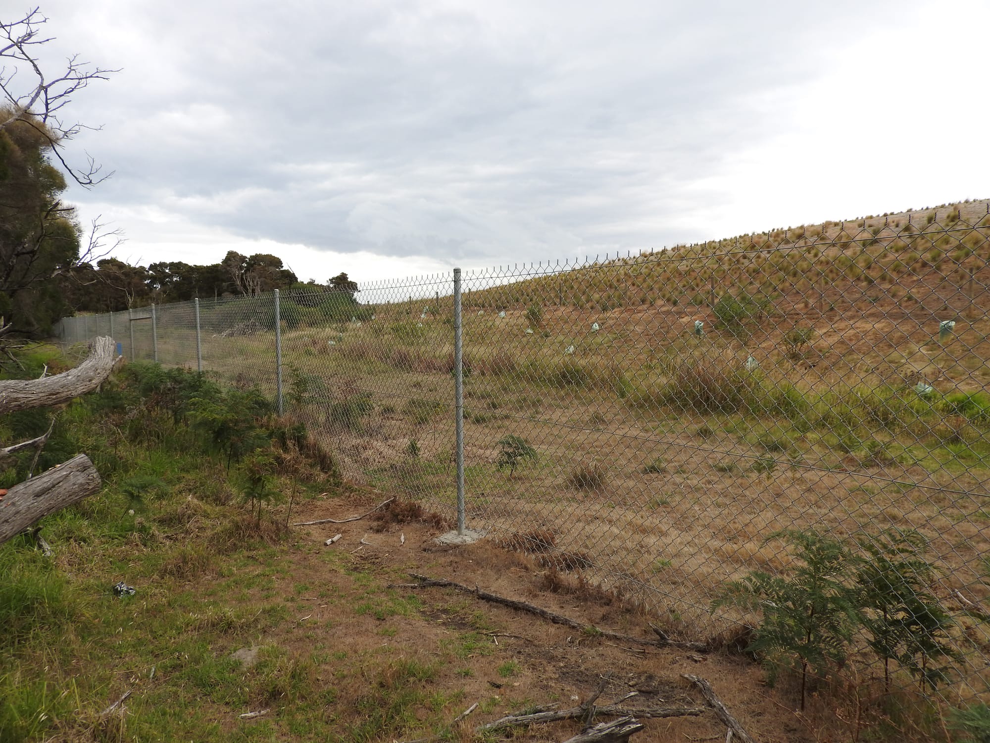 Is Gap Road a 45-hectare, million-dollar white elephant?