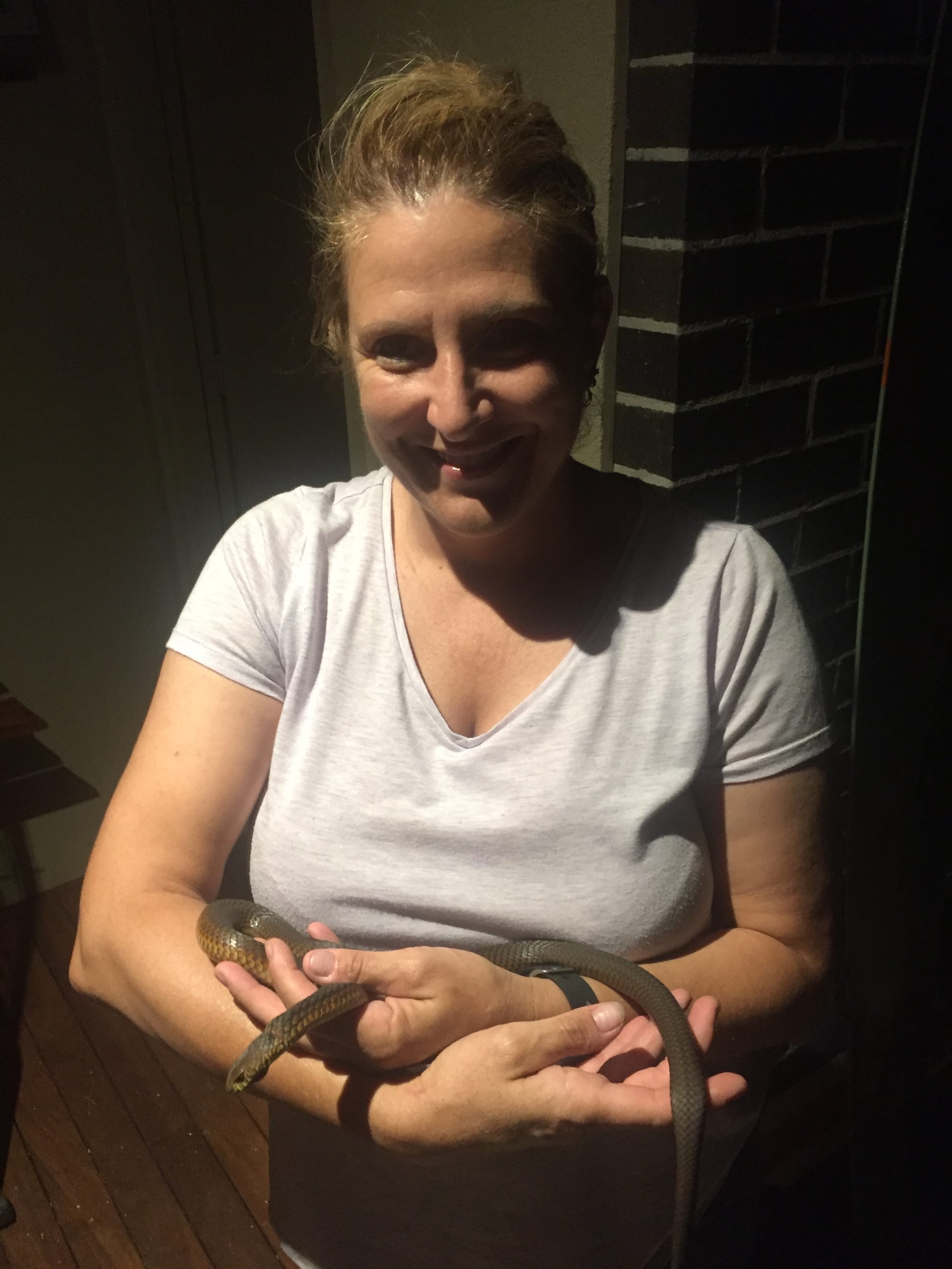 Increasing roadkill leads to state inquiry