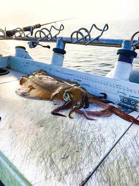 Around the Bay with Jim’s Bait & Tackle