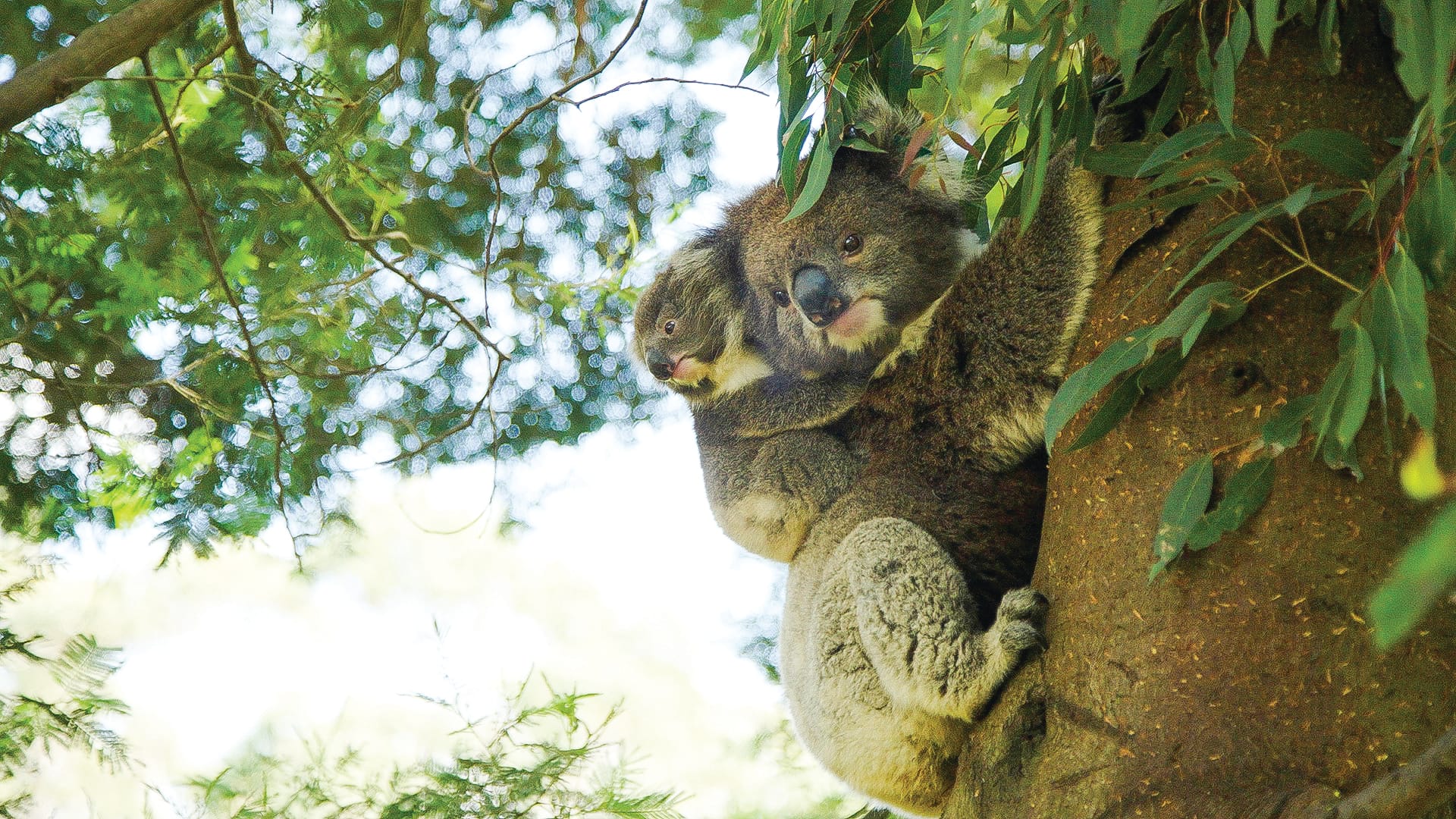 Nature Parks Board update – March 2022