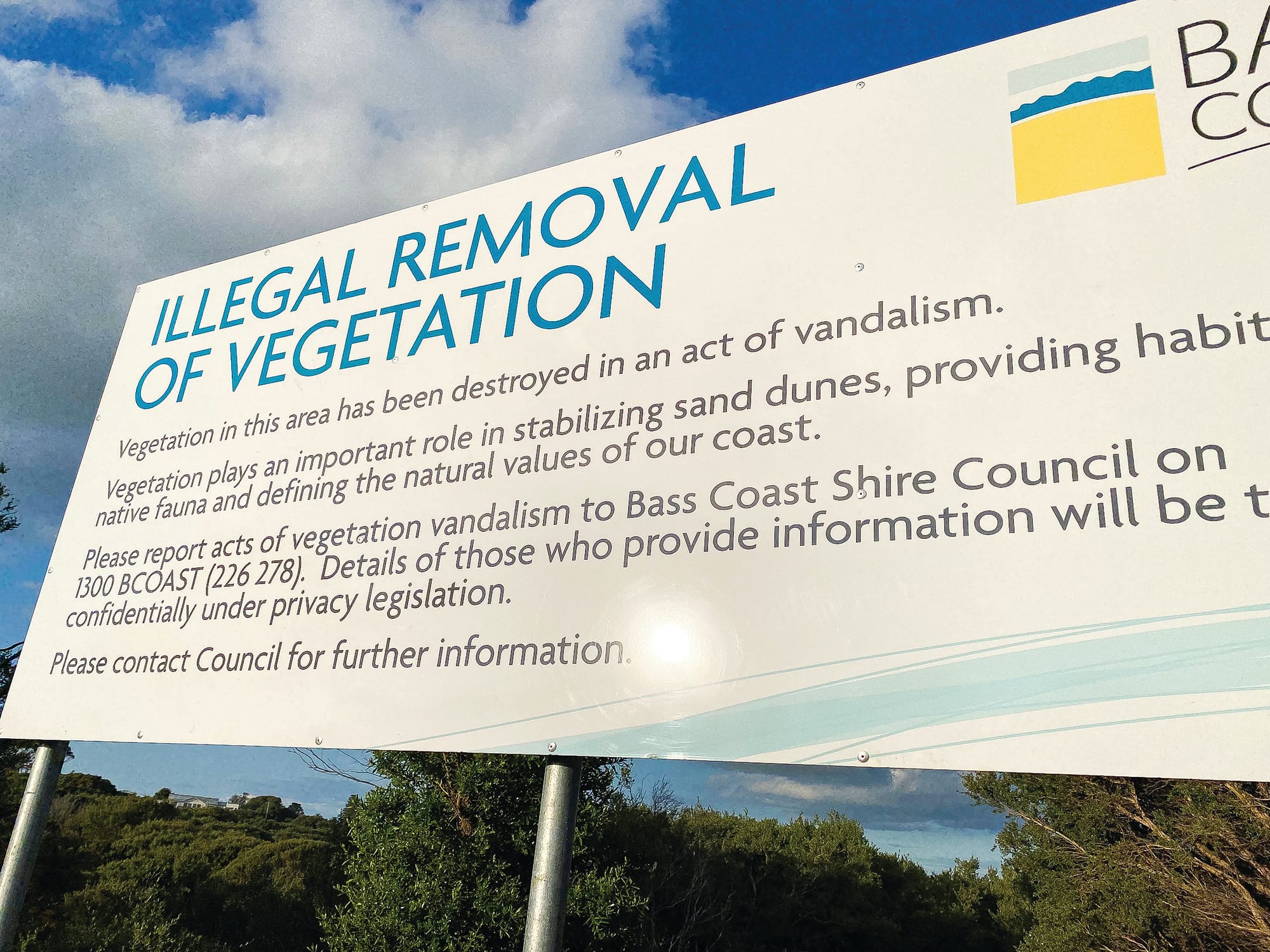 Ventnor illegal tree removal possible prosecution