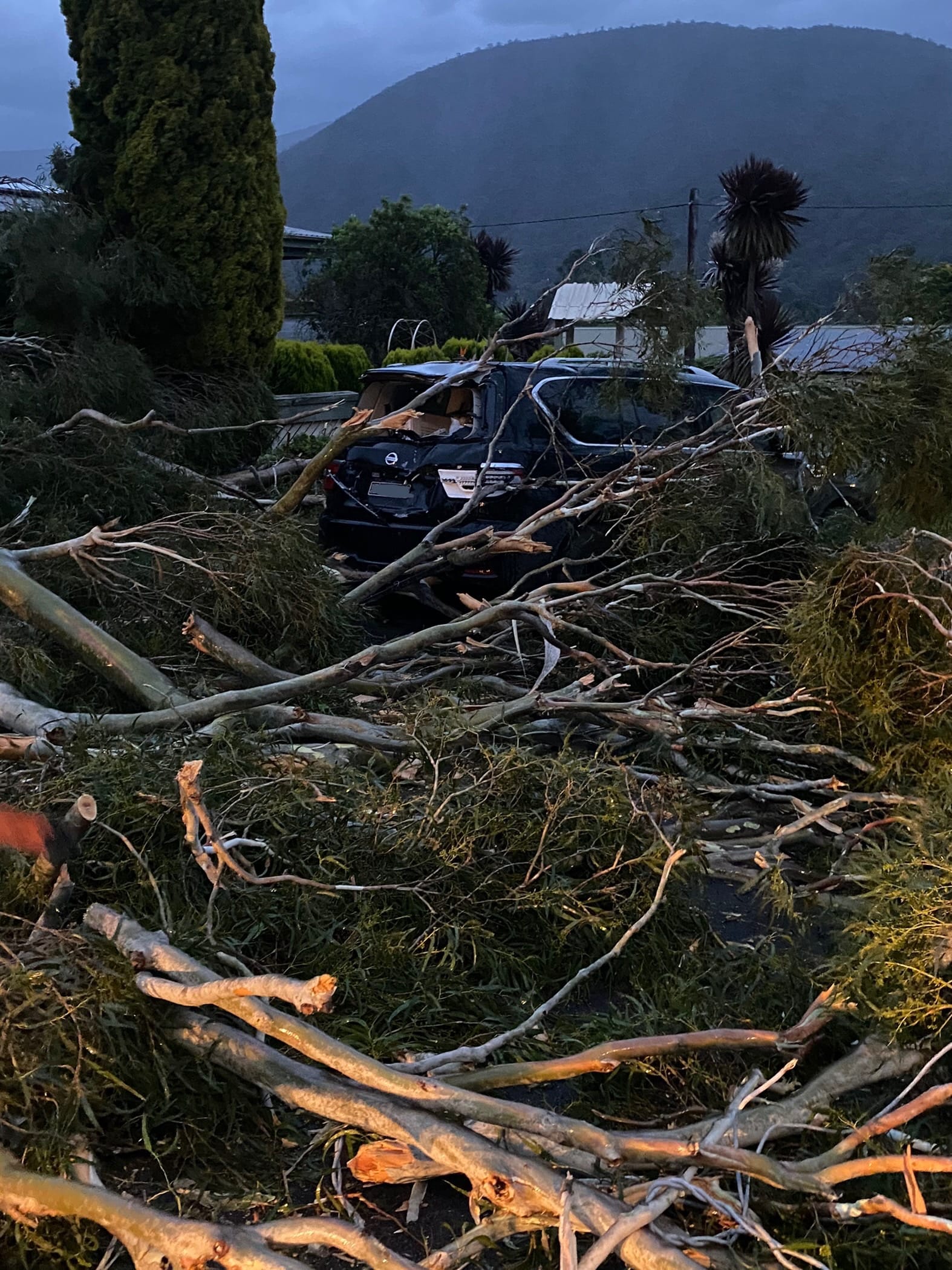 Damaging winds and falling trees prompt warning from VICSES