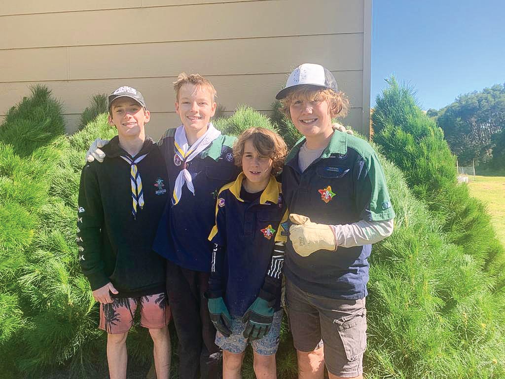 Scouts’ Christmas trees sell out