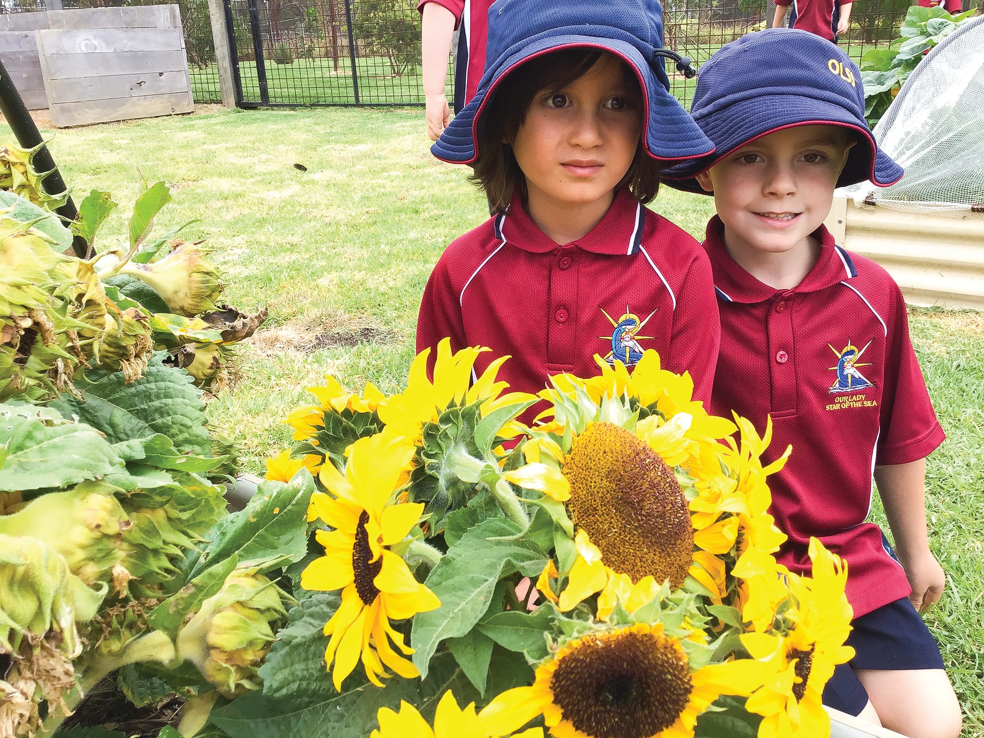 Bumper Crop at OLSS