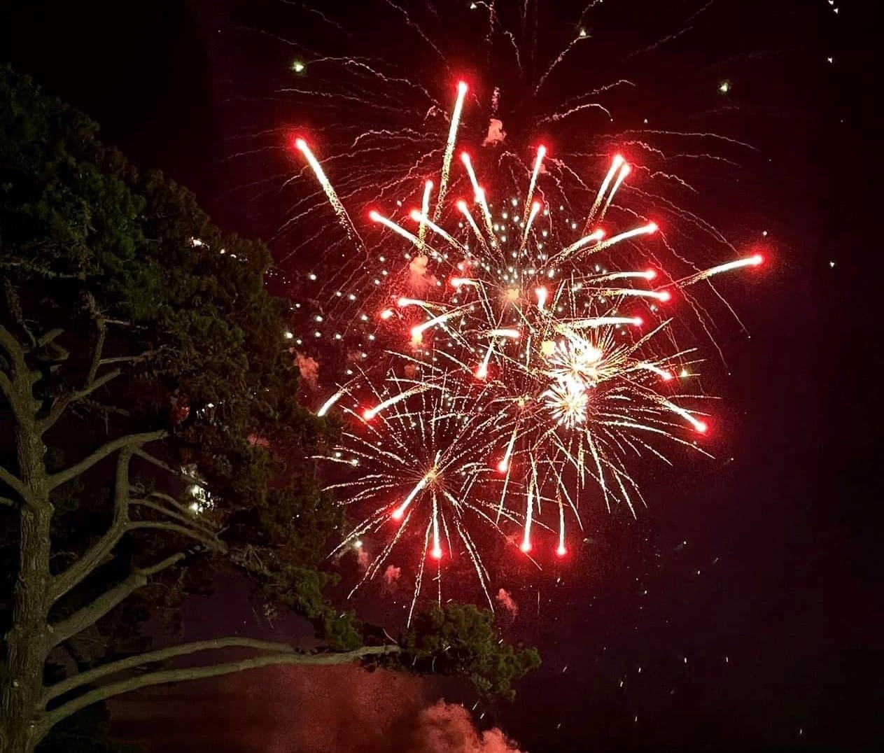 Fireworks alternatives mooted