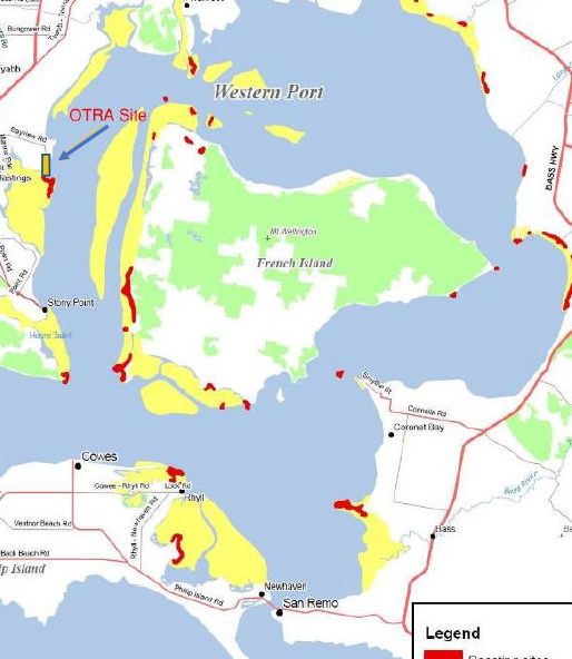 How would a turbine hub impact the bay's fish, birds?