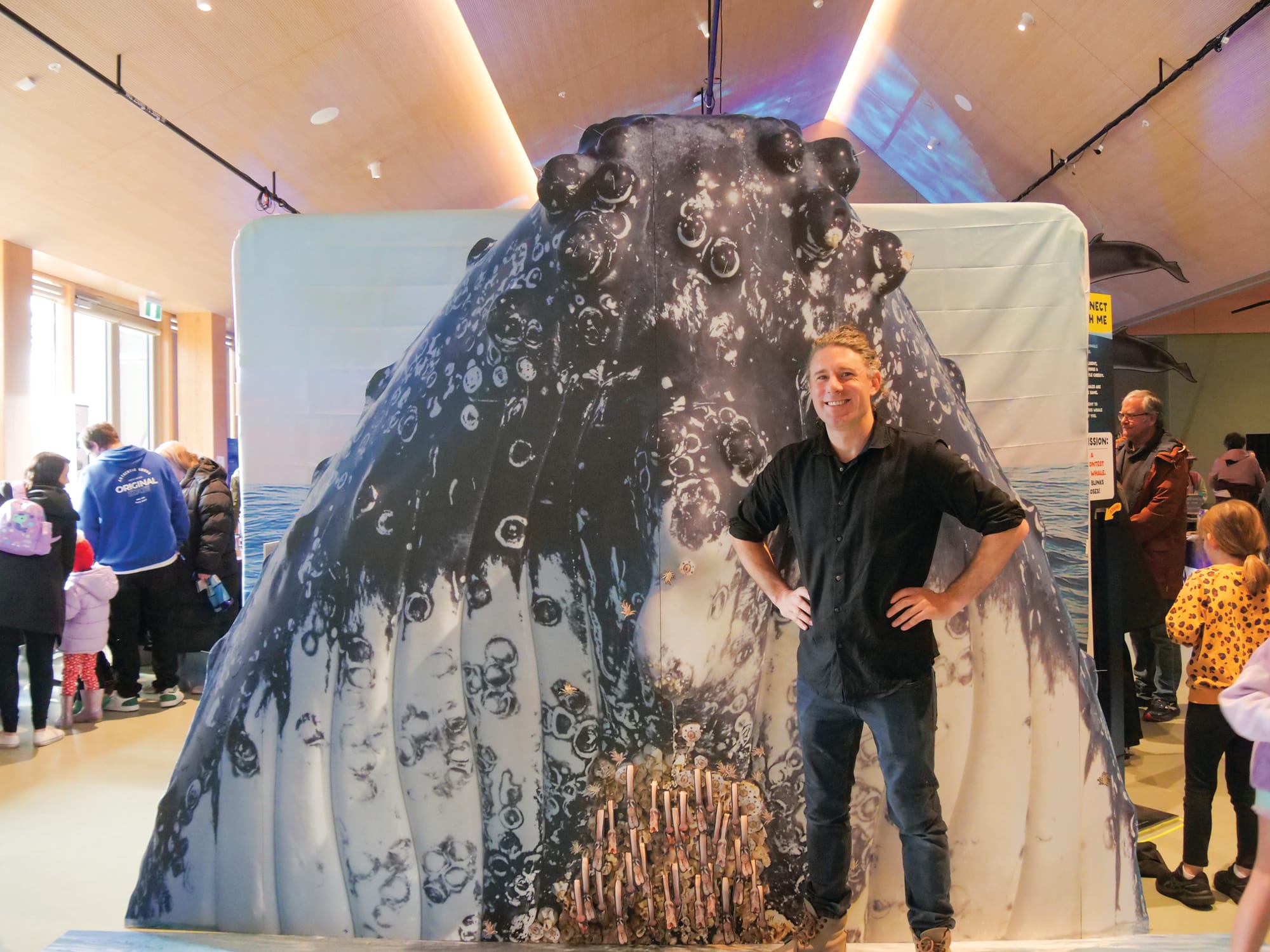 Whales in full scale