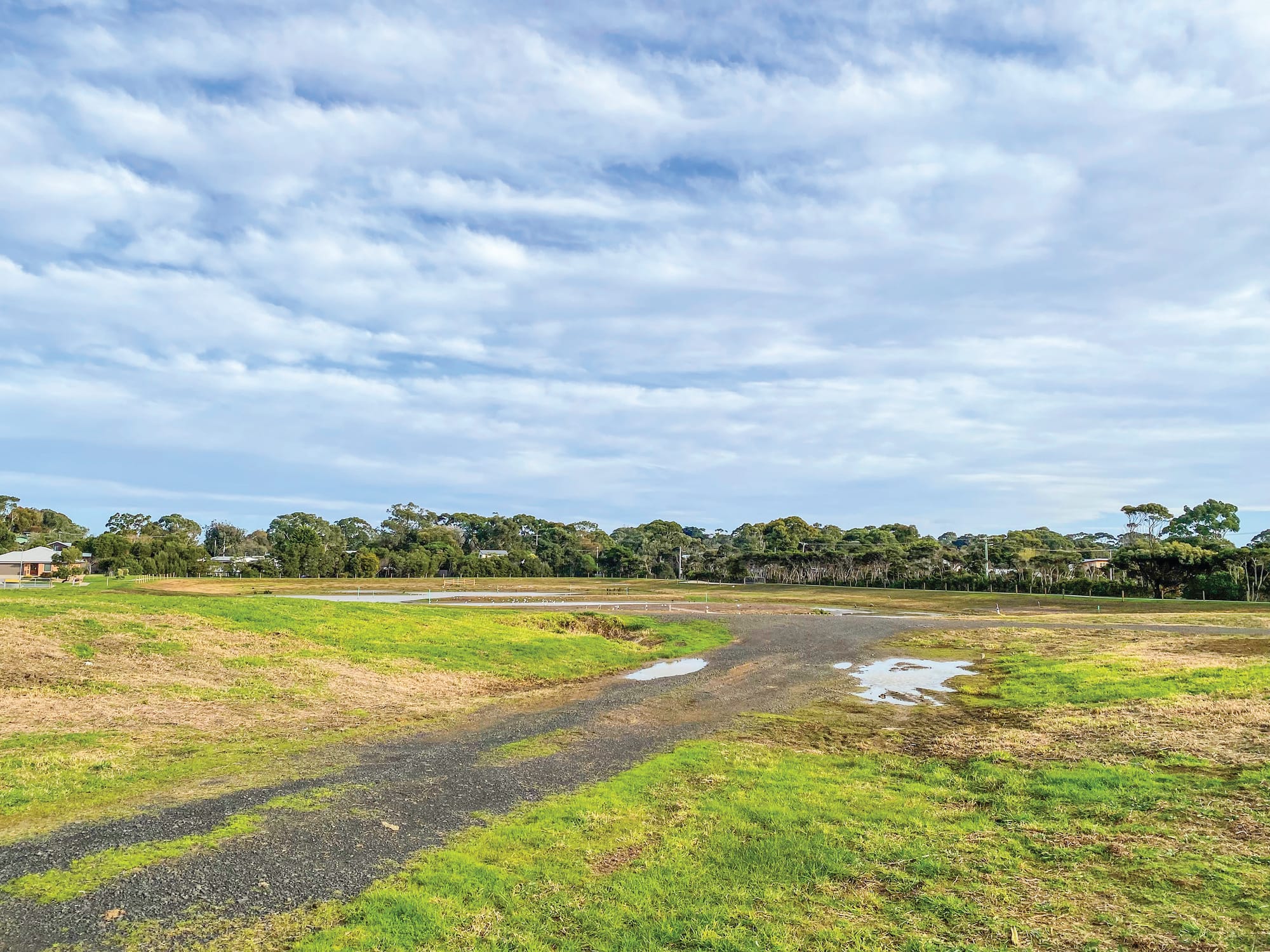A new promise for wetlands