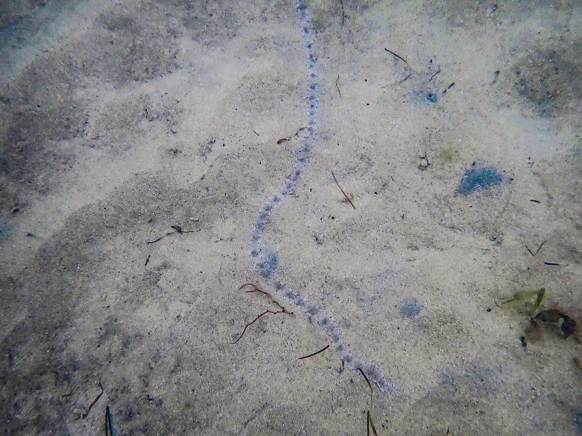 A worm’s-eye view
