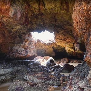 Forrest Caves