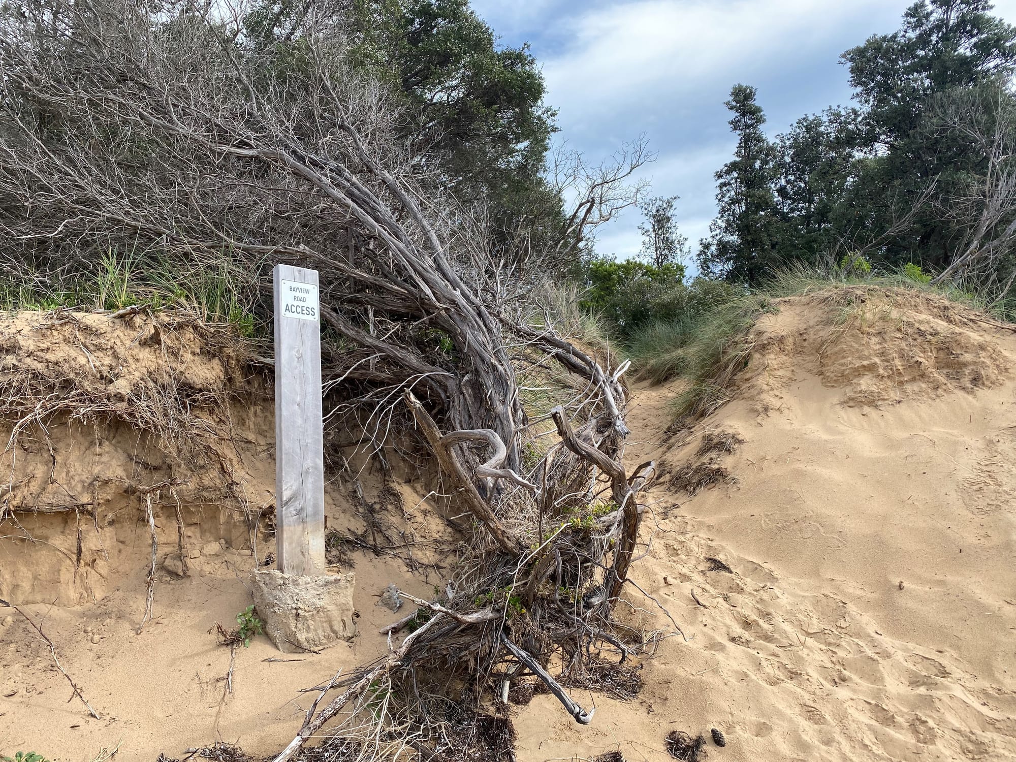 Insurer won’t cover coastal homes