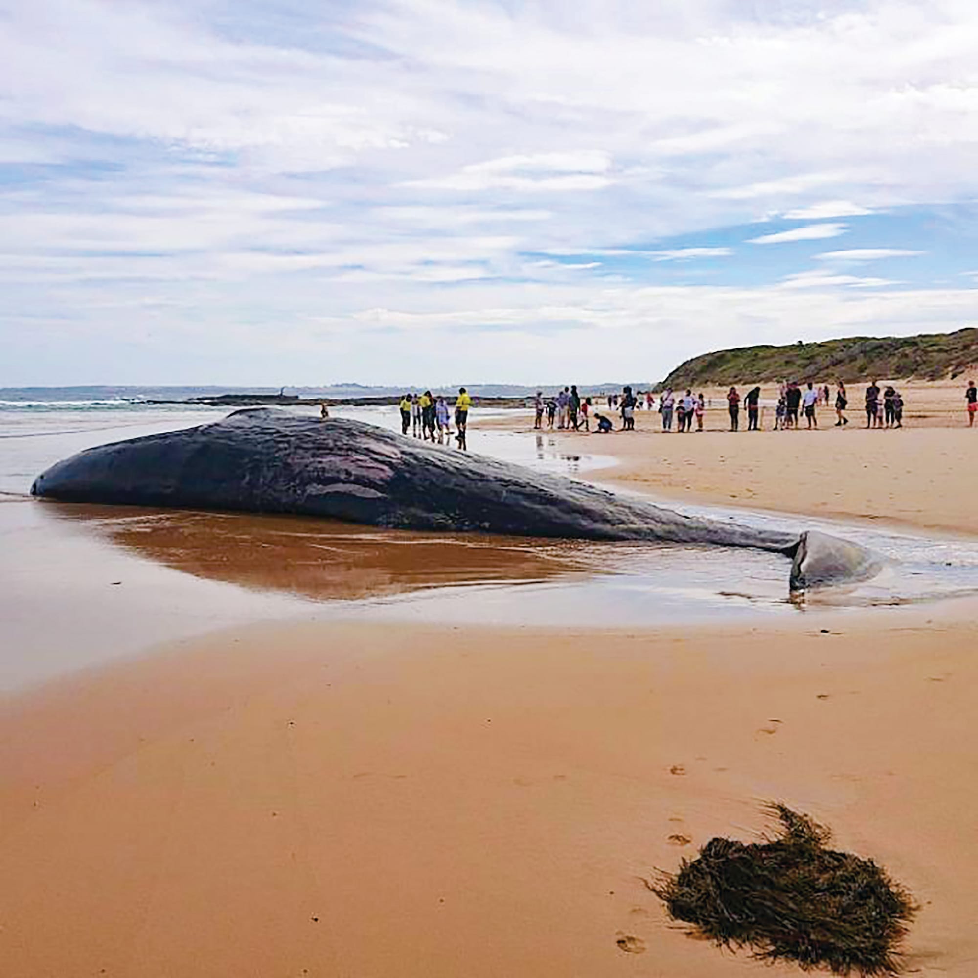 Breaking up is hard to do