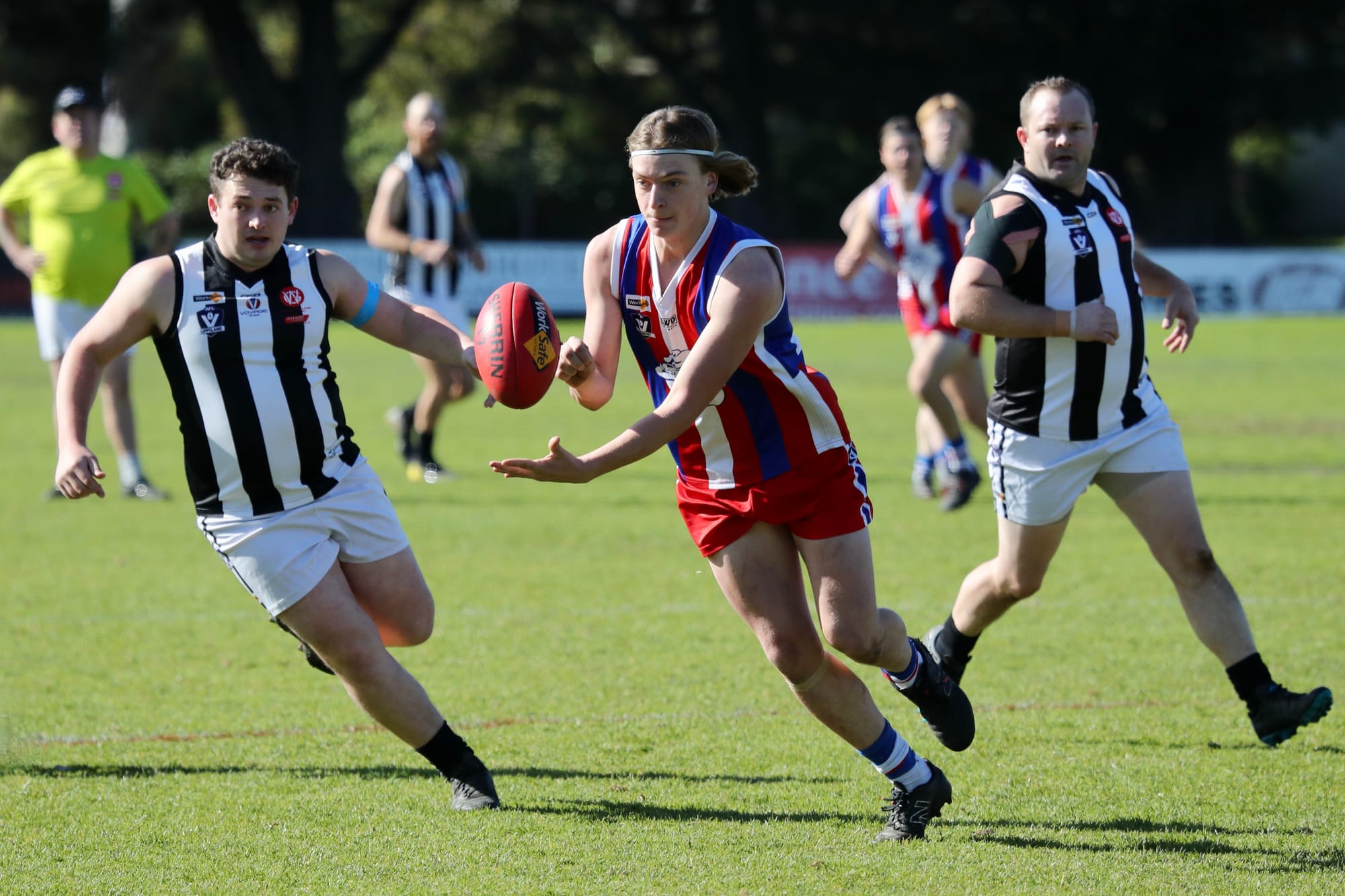 Feathers fly as Bulldogs outclass Magpies - Reserves