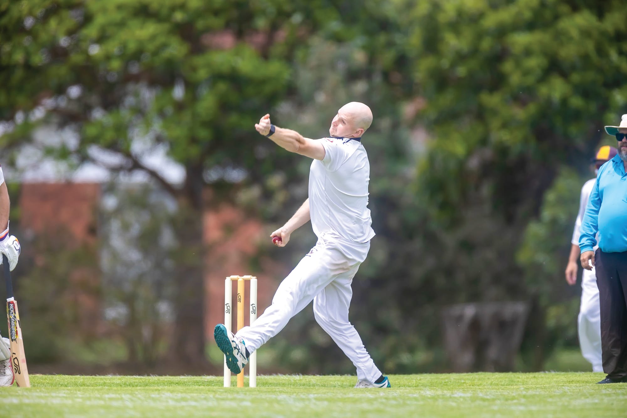 Strong results from Sharks