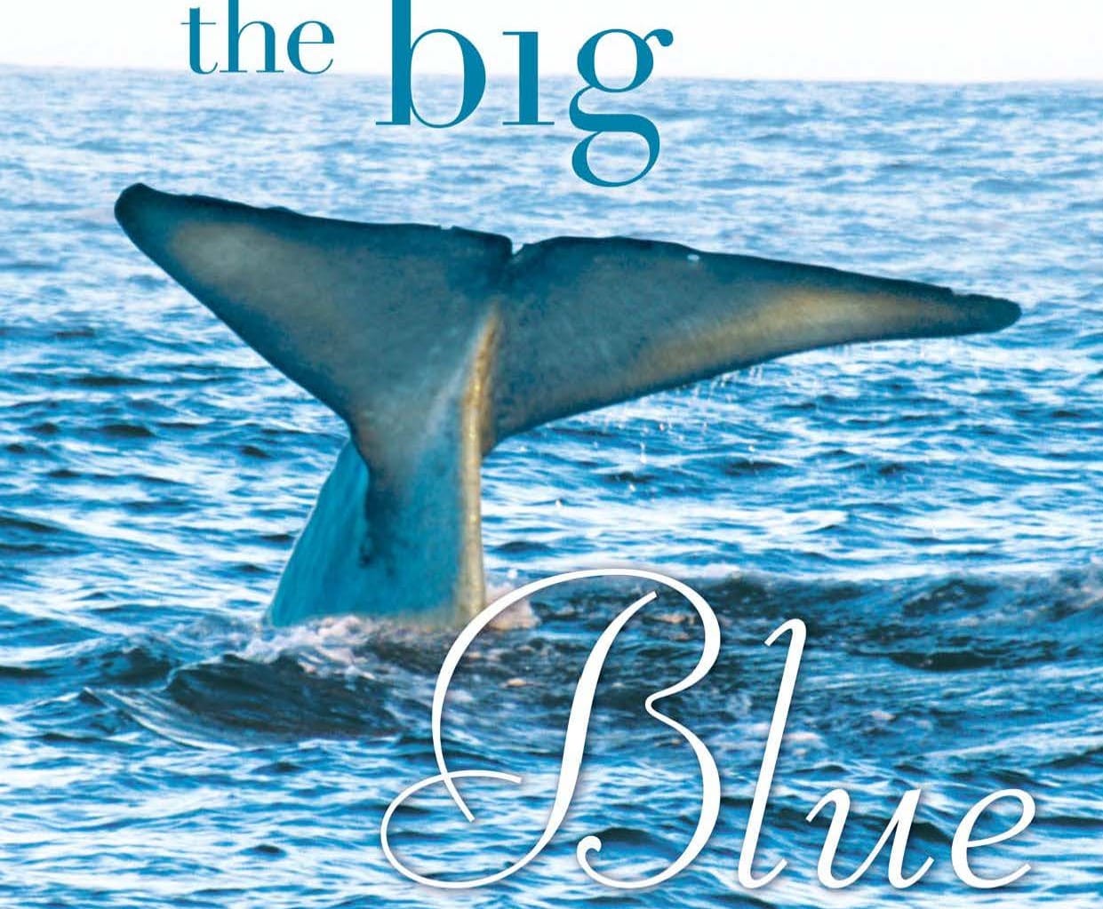 Whales, wine and wisdom