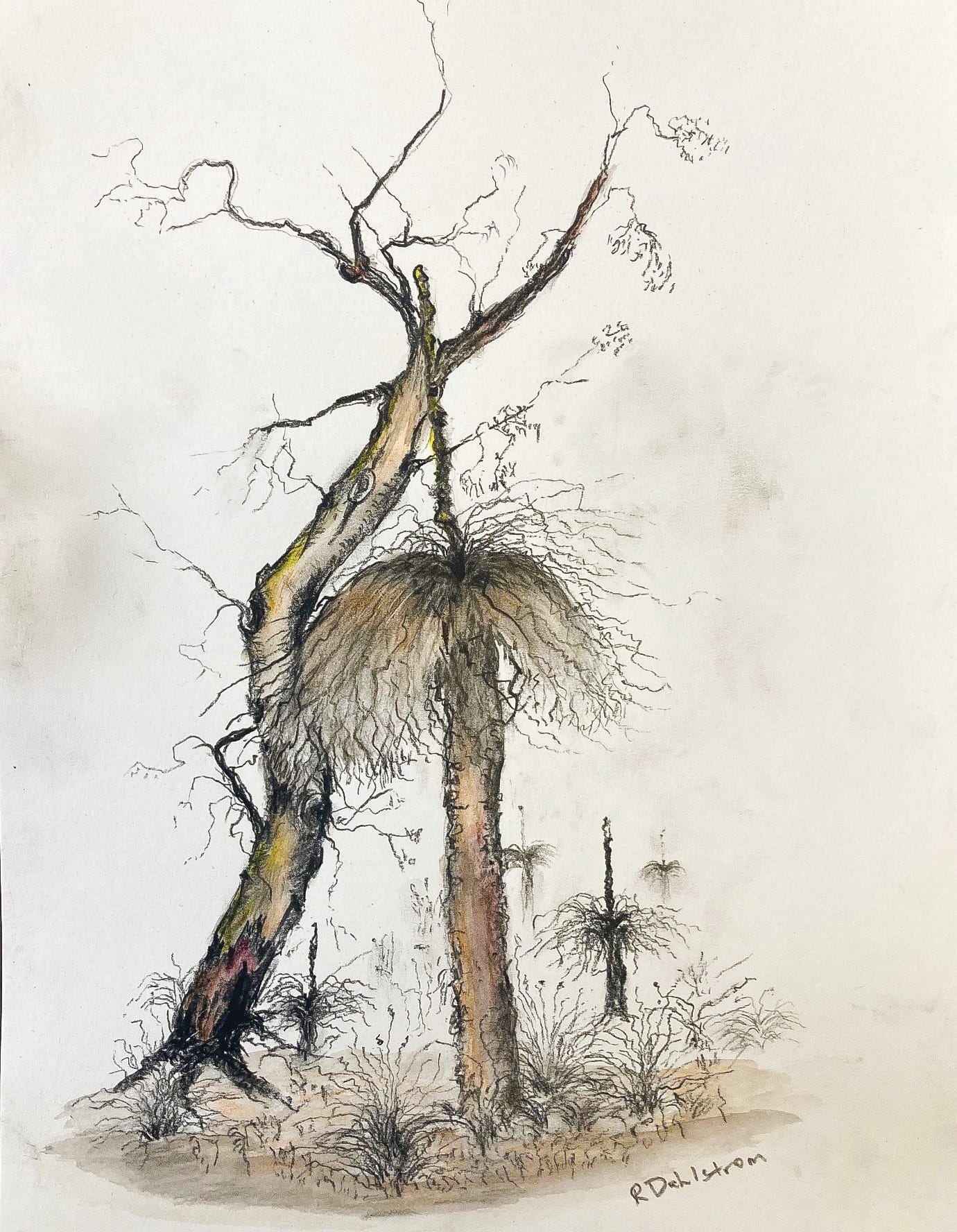 Woodlands inspired exhibition coming soon