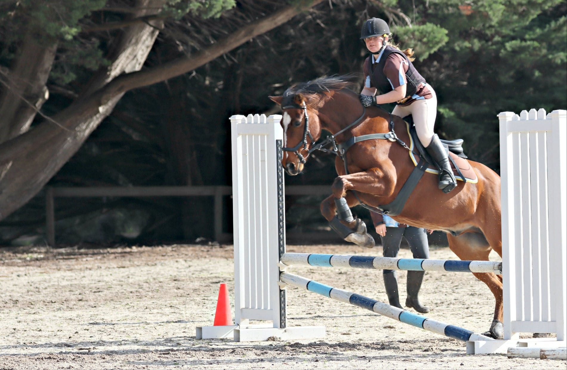 Pony Club heads to State Titles