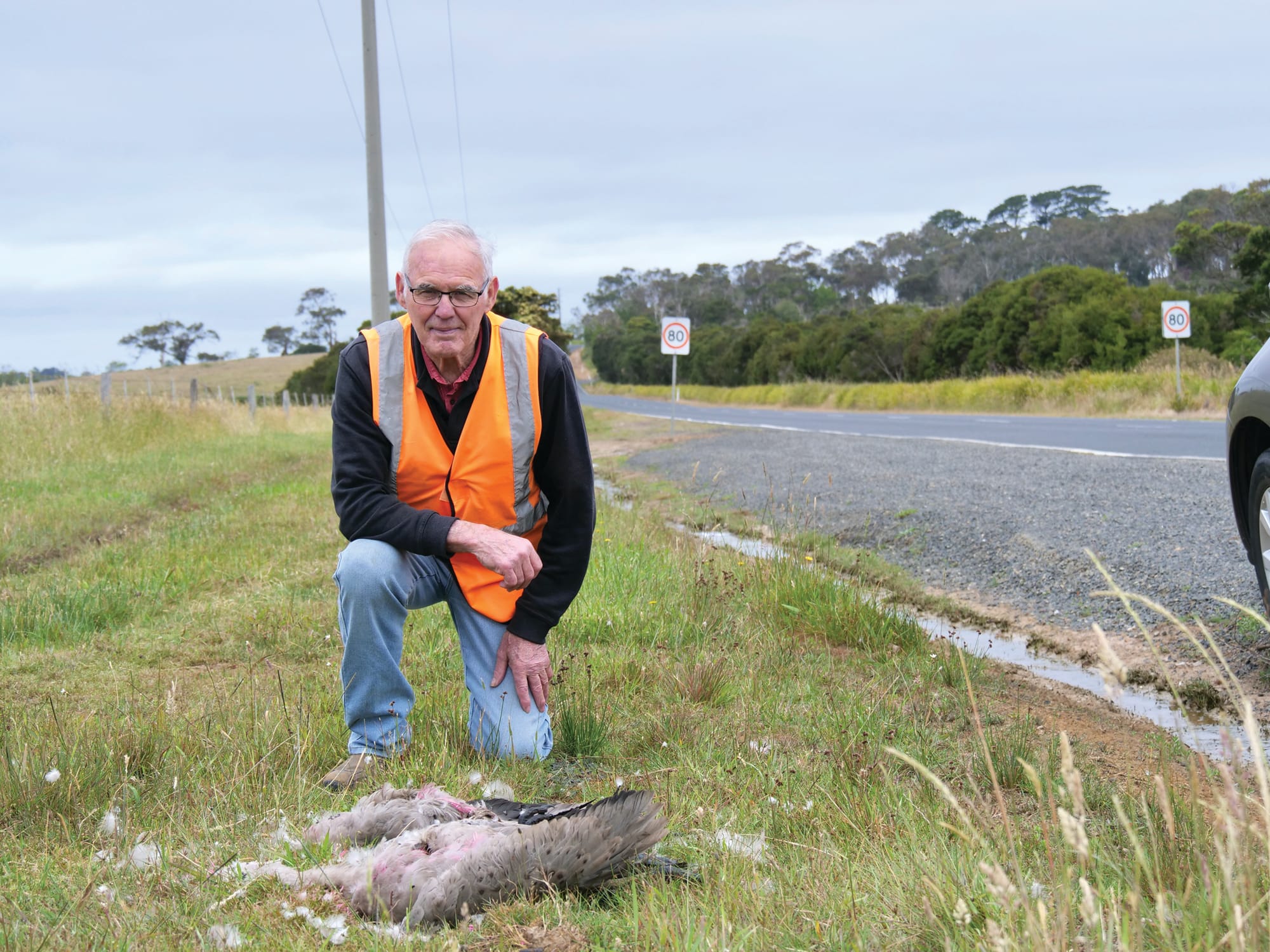 Calls for greater protection of wildlife