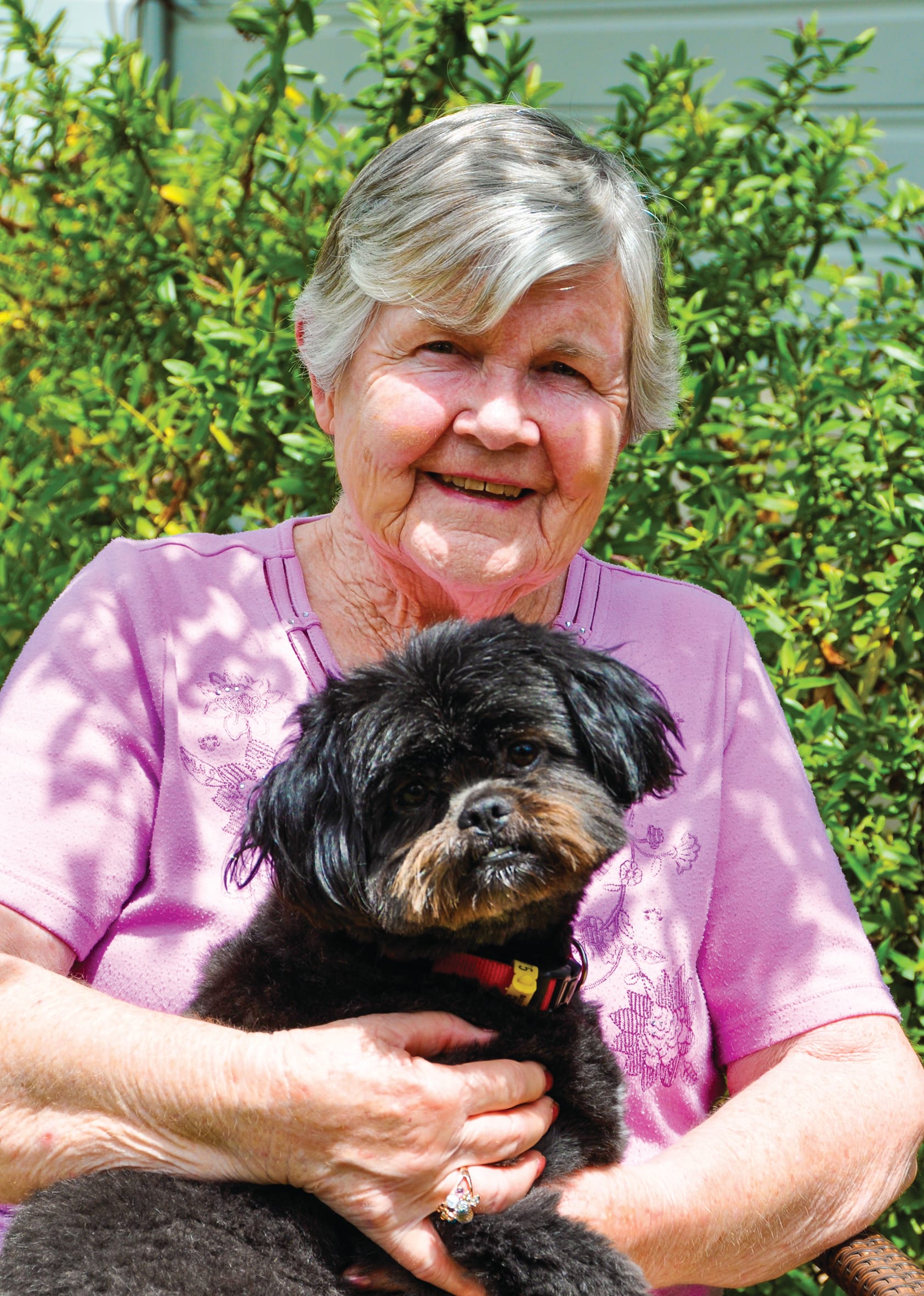 Summer dog regulations start next week