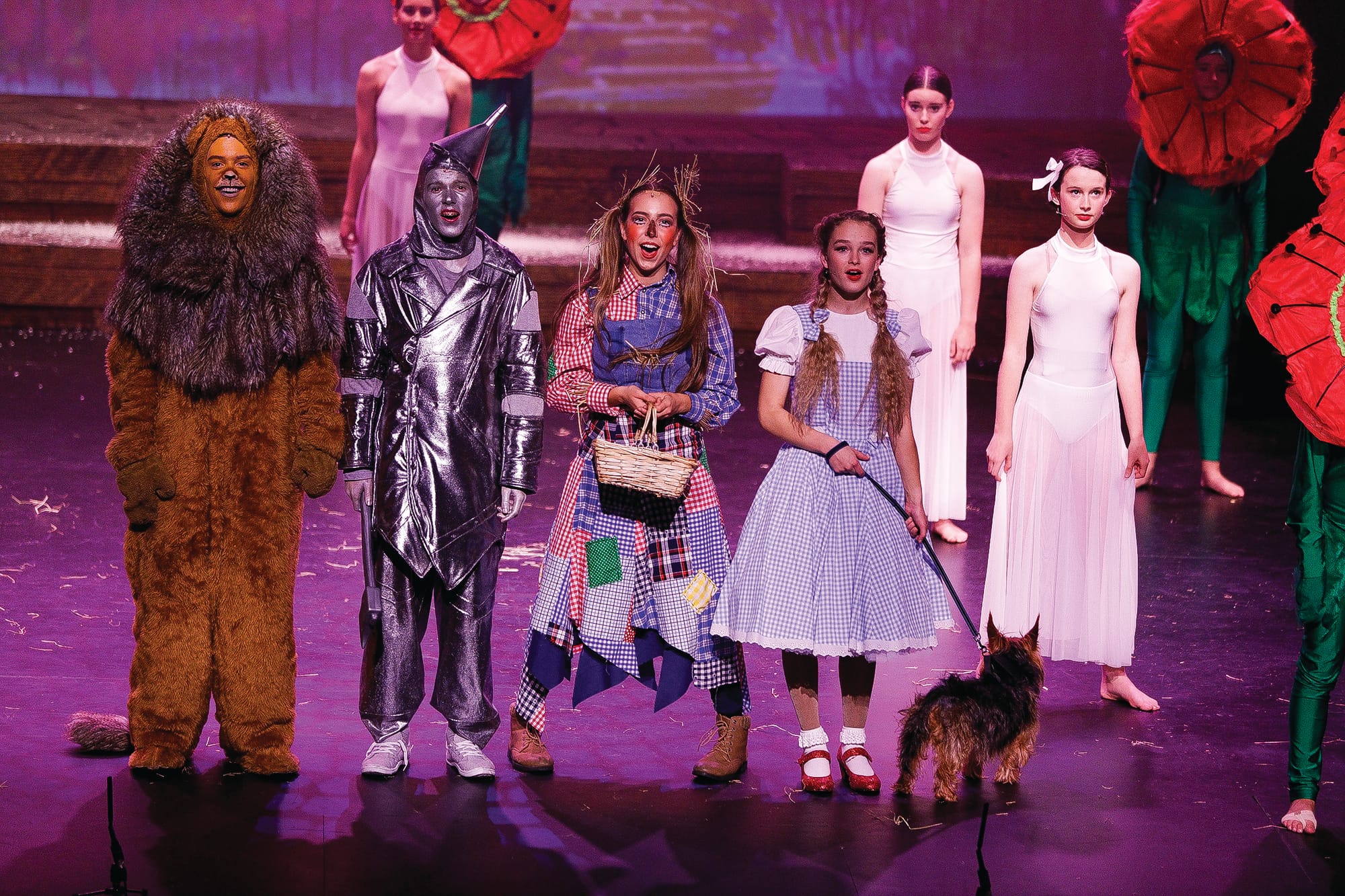 Wizard returns - There’s no place like home …