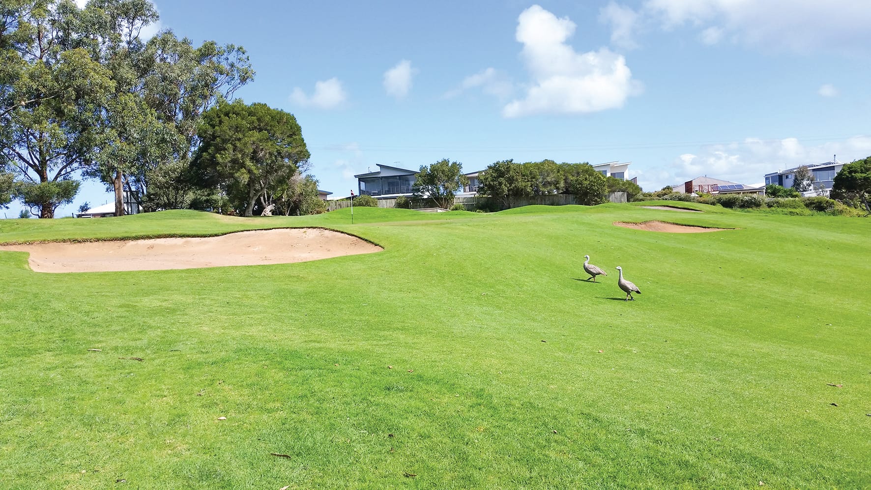 Phillip Island Golf results