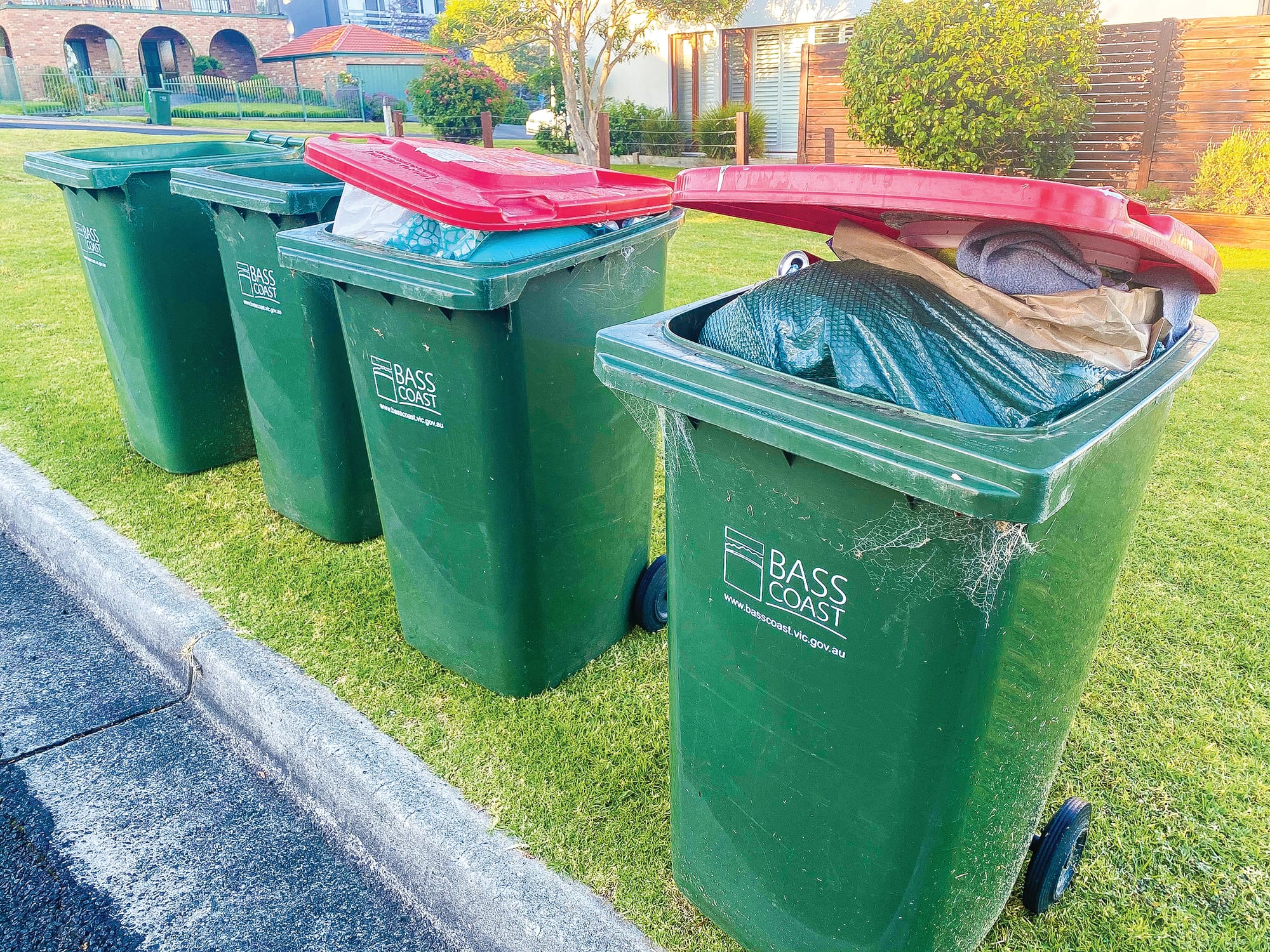 Annual summer bin confusion continues