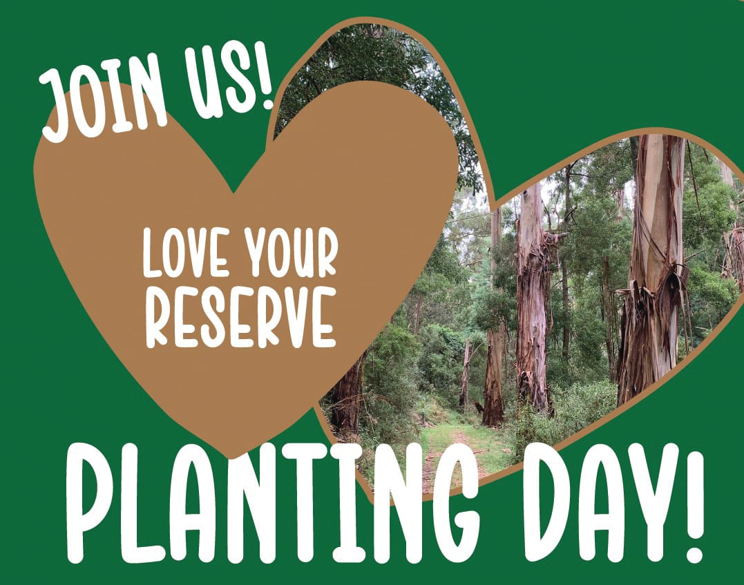 Come to Kongwak on National Tree Day