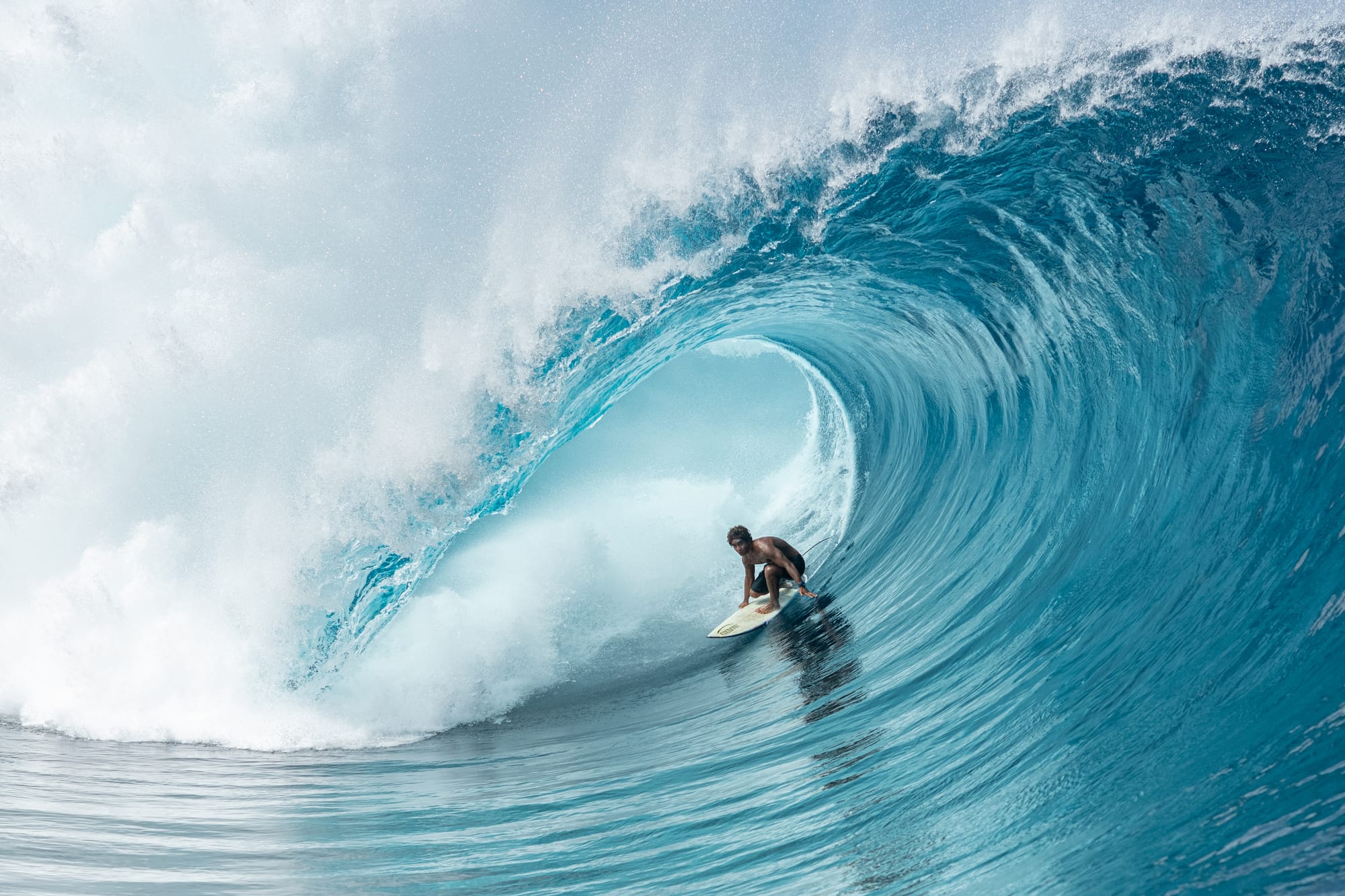 Dive into the depths of the Ocean Film Festival