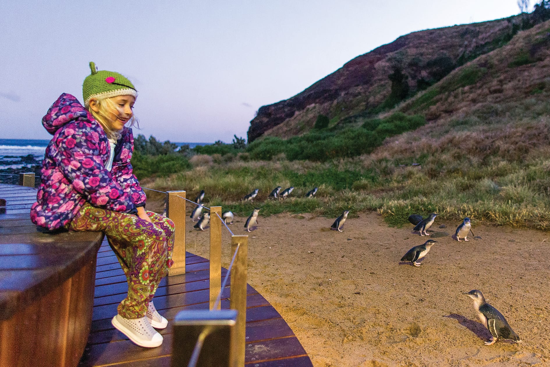 Doors open at the Nature Parks