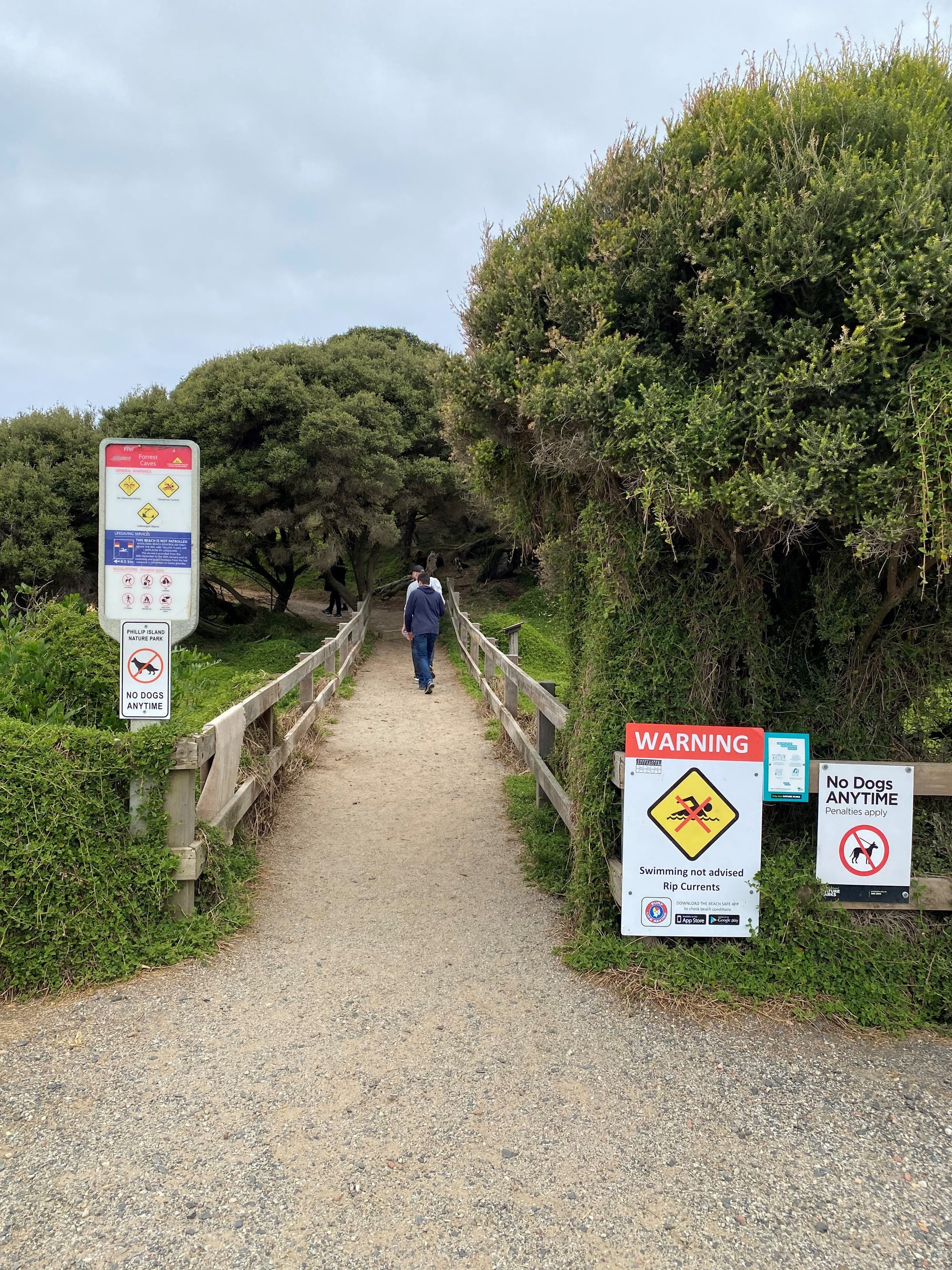 Would better signage save lives?