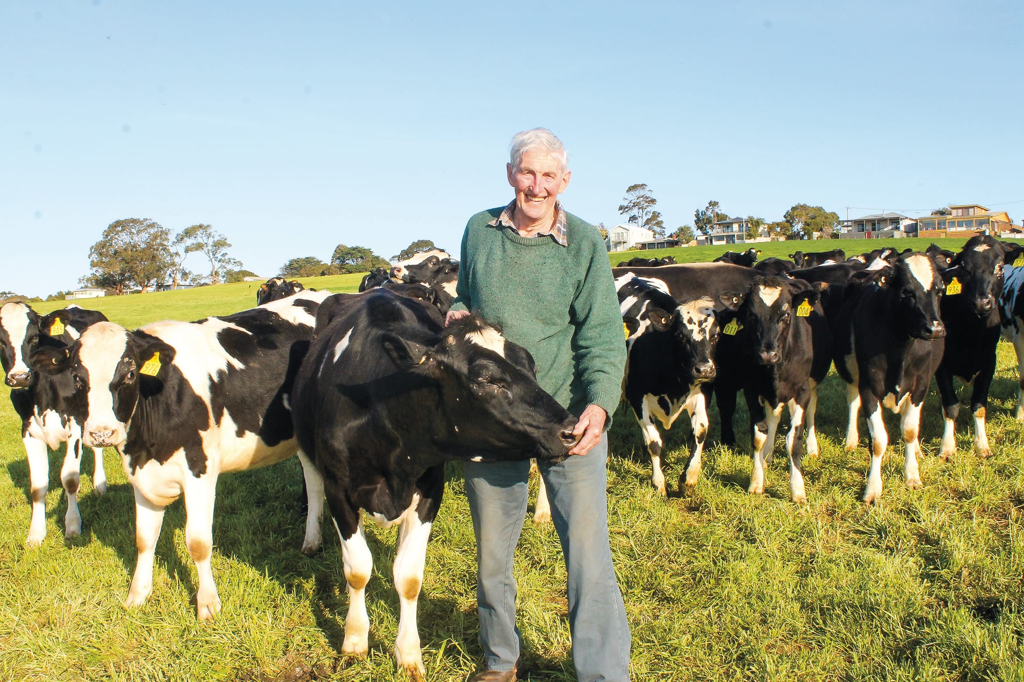 Vale: Donald Dixon