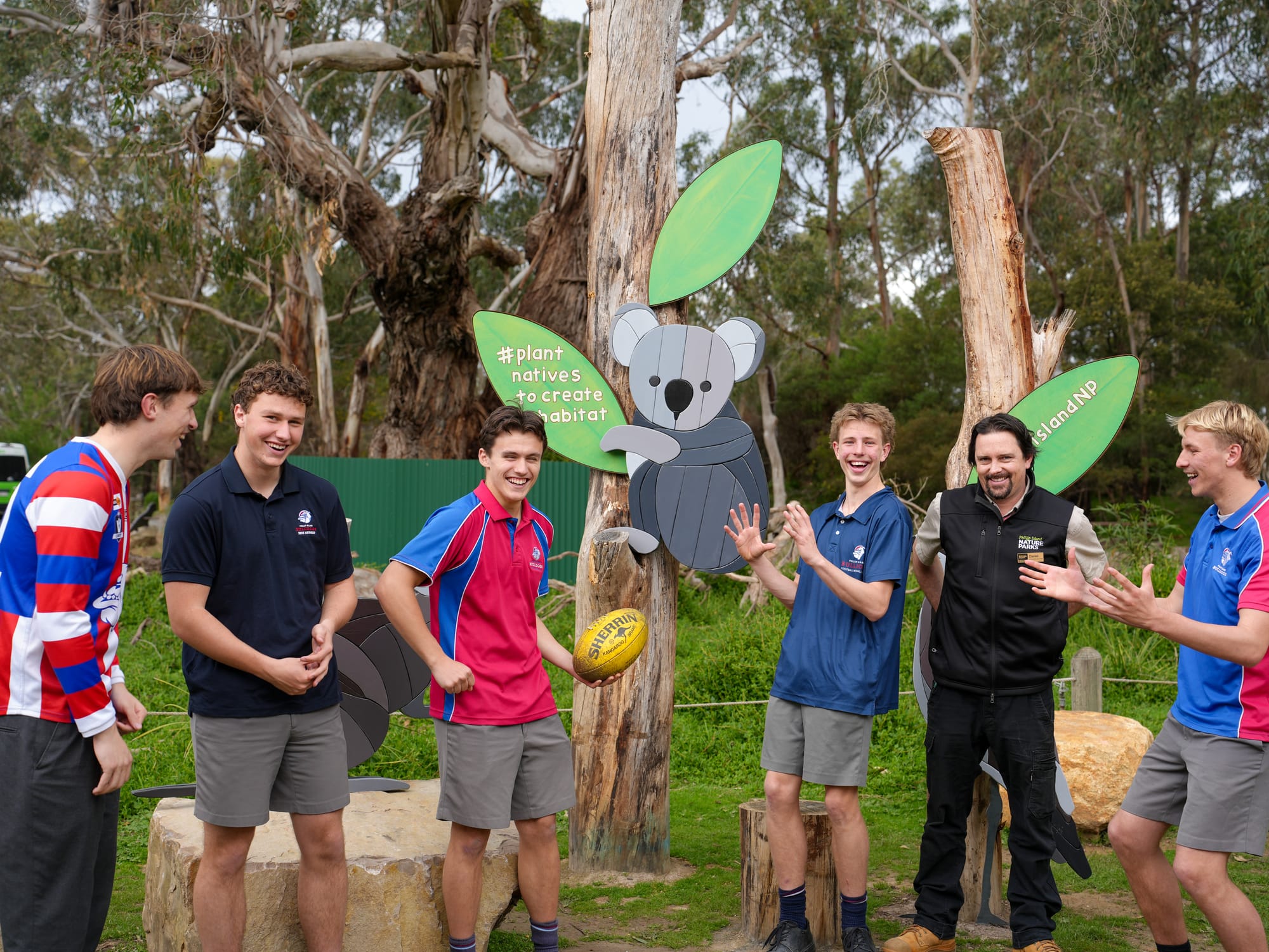 Footy and furry friends this Save the Koala Day
