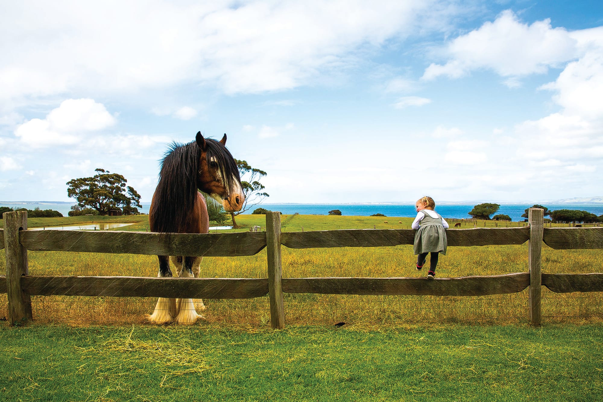 Join Friends of Churchill Island